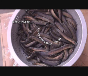 �~���ȡ�C(j��)-�����q��