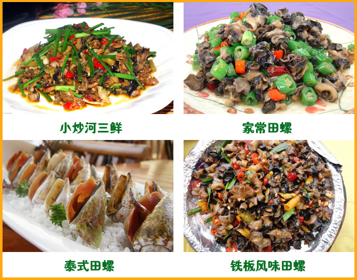 ��������������ʳ����������