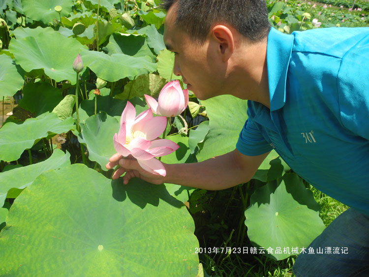 �@���炃��մ���ǲ�-�M��ʳƷ�Cеľ�~ɽ����Ư��ӛ