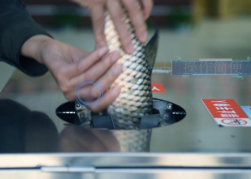 �M����ȥ���_�ǚ��~�C(j��)