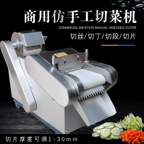 1000型多功能切菜機(jī) 1000型多功能切菜機(jī)