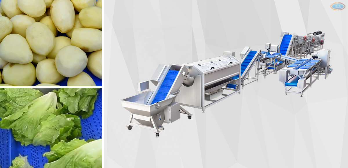 多功能雙用凈菜流水線技術(shù)解決方案設(shè)備展示 多功能雙用凈菜流水線技術(shù)解決方案設(shè)備展示