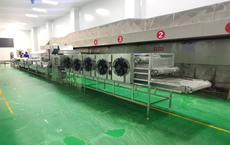 寧都肉丸生產(chǎn)線(xiàn)案例圖